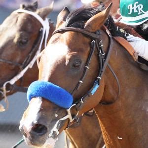 Cistron | America's Best Racing