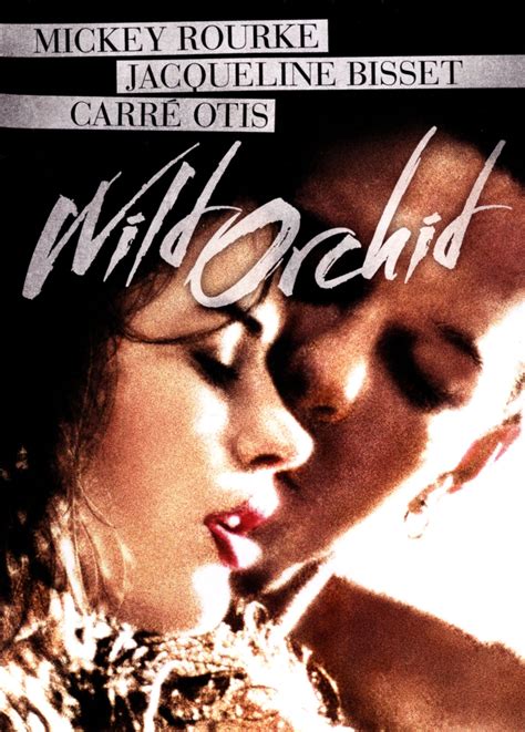 You Won't Believe What Happens At Wild Orchid Gentlemen's Club! Image 2