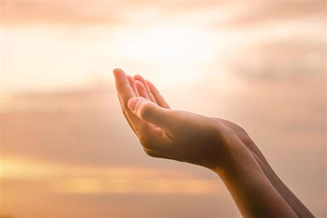 Hands placed together like praying in front of nature background ...