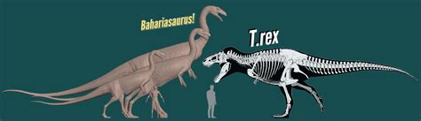 Bahariasaurus (Deltadromeus) The speedy GIANT "Galli" that fights rexes ...