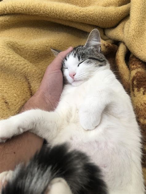 The laws of the universe compels me not to move my hand. I am stuck
