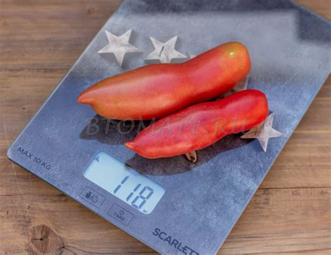 РОЗОВЫЙ КЛЫК — BTomate
