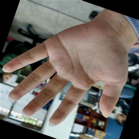 hand detection object detection dataset  falcon ai