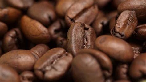 Best Organic Coffee Brands | Top Organic Coffee Companies