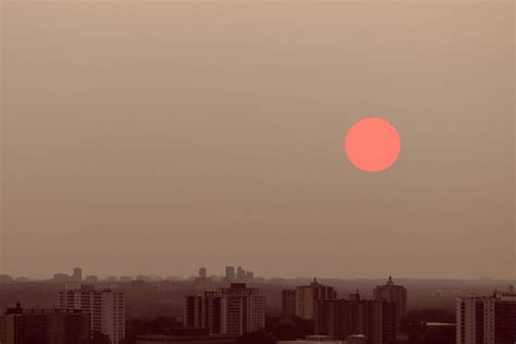 Protect Yourself from Wildfire Smoke Particulates with N95 Masks - Best