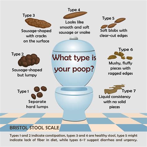 What healthy and unhealthy poop looks like, when to be worried, how