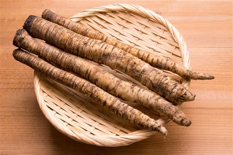 chef sambrano gobo  burdock root