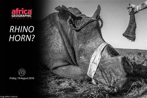 Rhino horn? - Africa Geographic