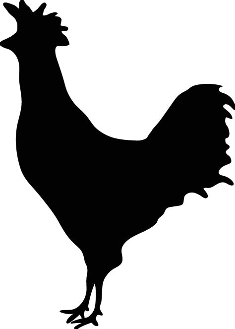 chicken vector file  vector art  vecteezy