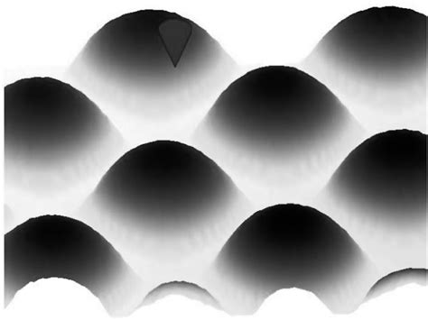Scanned image of a sample (CCD sensor). | Download Scientific Diagram