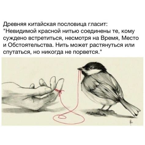 Пословицы и поговорки в картинках (50 картинок)