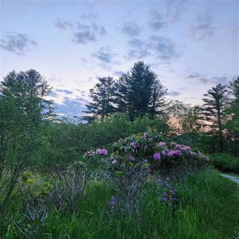 Share some love for an amateur photographer? 🥺