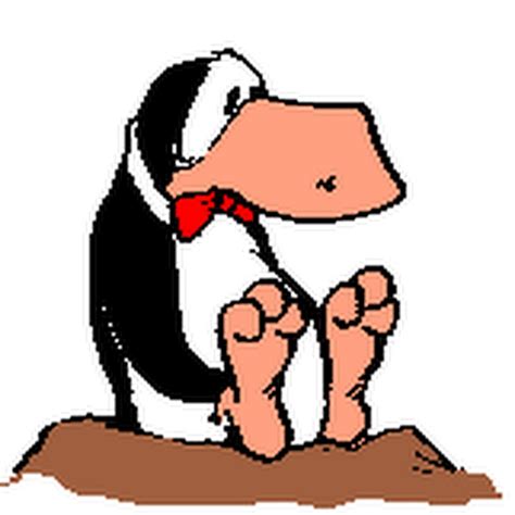 Opus Penguin - YouTube
