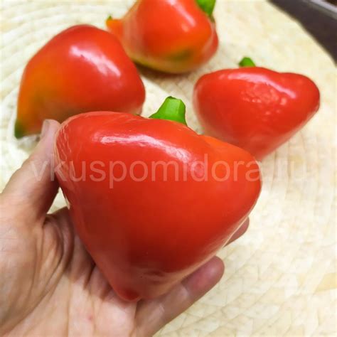 Купить семена перца сладкого сорта Леся
