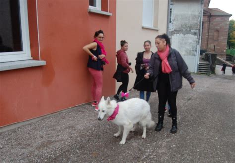 bruyeres belle stabilite pour la marche rose