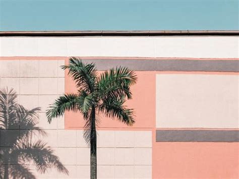 Aesthetic Wall Stock Photos, Images and Backgrounds for Free Download