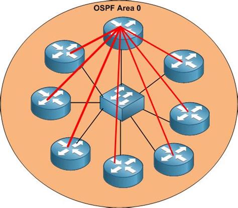 Everything You Need to Know About OSPF Designated Router - NetworkTik