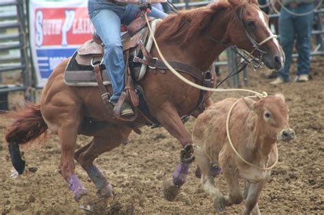 Grandstand Events | Morgan County Fair | Located in Martinsville, IN