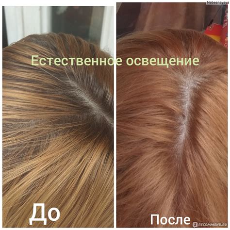 Краска для волос SYOSS Oleo Intense - «Новый оттенок 8-60 медовый блонд ...