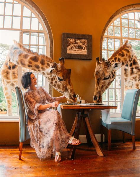 What to Wear to Giraffe Manor | Have Clothes, Will Travel