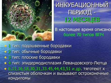 Вирус папилломы человека - презентация онлайн
