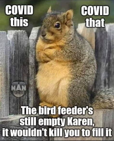 Damn it Karen! Feed the squirrel, it's only your garden! : r/CoronavirusMemes