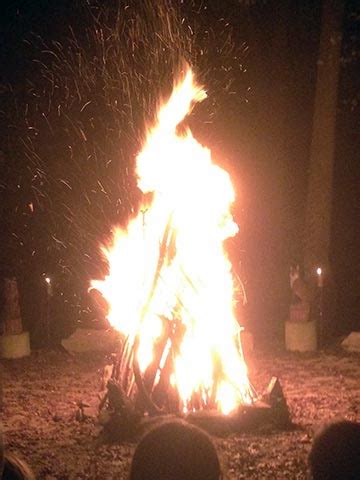 What is Fire? - chickenmonkeydog
