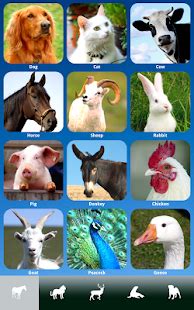ZOOLA Animals – FREE review - App Ed Review