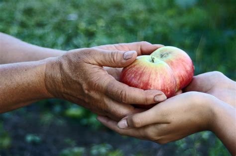 Stories of Generosity – Bishop Michael Rinehart