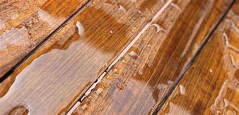 remove water stains  wood diy woodworking mastery