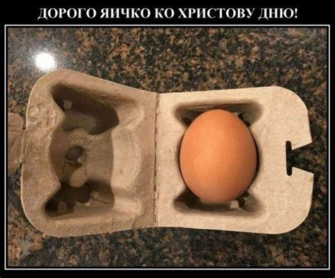 Сколько стоит одно куриное яйцо в магазинной упаковке (2019 г.)? | Egg ...