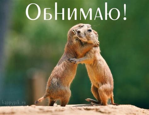 Открытки с надписью Обнимаю - скачать бесплатно (46 шт.)