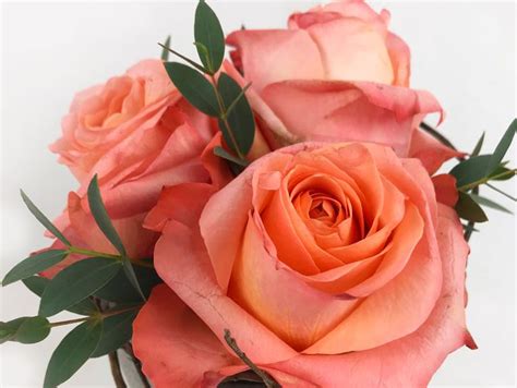 Es muss nicht immer der grosse Blumenstrauss sein | Blumen ...