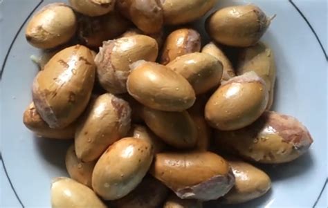 stop buang biji durian ternyata biji durian kaya manfaat bagi