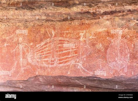 ancient animal drawings  ubirr aboriginal rock art site kakadu