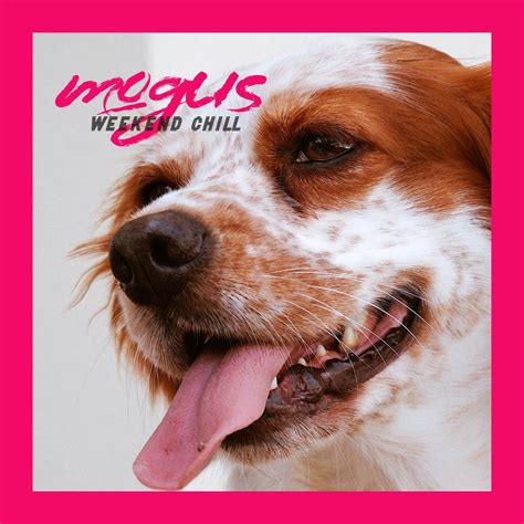 mogus | iHeart