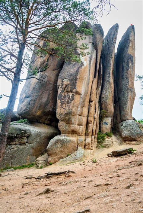 Столбец оперяется Stolby в зиме Стоковое Фото - изображение ...
