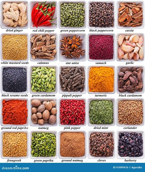 Collection of Different Spices and Herbs Stock Photo - Image of brown ...