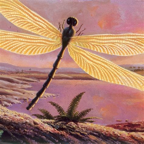 Giant Dragonfly Extinct