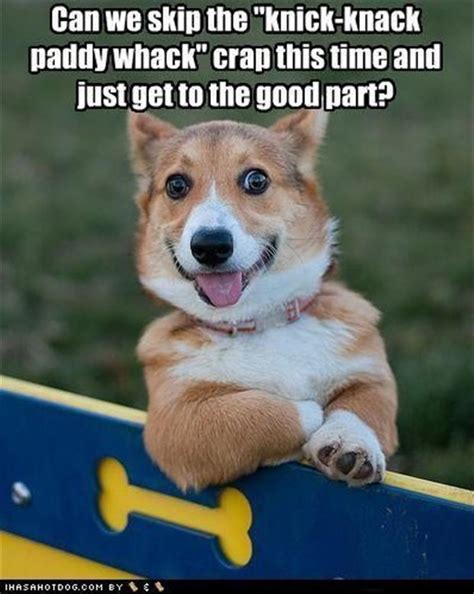 funny images, dumpaday pictures (2) - Dump A Day