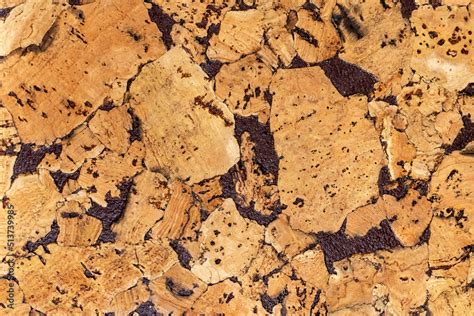 Beautiful natural texture of cork tree with decorative painted streaks