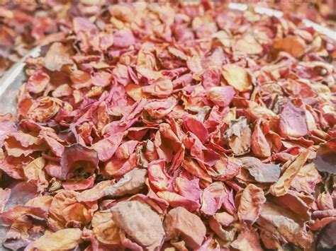 abstract background  texture  dry rose petals  stock photo