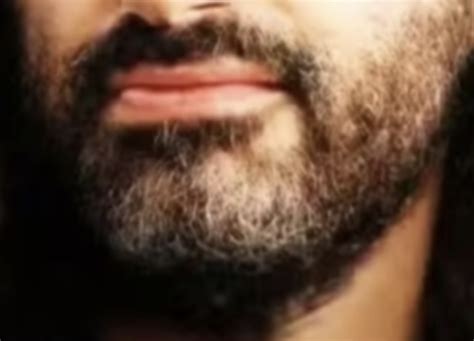 David Schwartz’s Beard (BEARD)