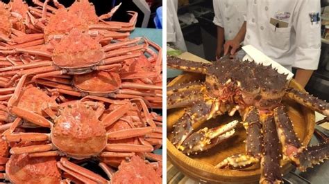Cua tuyết Alaska là cua gì? Cách phân biệt với cua hoàng đế - Chia Sẻ ...