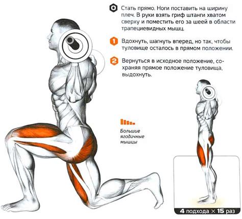 Боковые выпады с гантелями: техника выполнения, какие мышцы работают