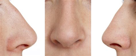 meaning  symbolism   word nose