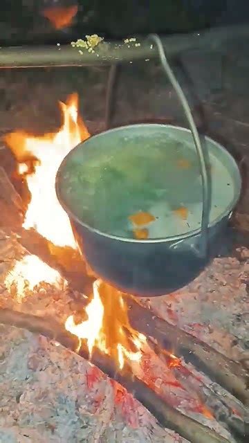 УХА на рыбалке - это прекрастно! #рыбалка #fishing #природа # - YouTube