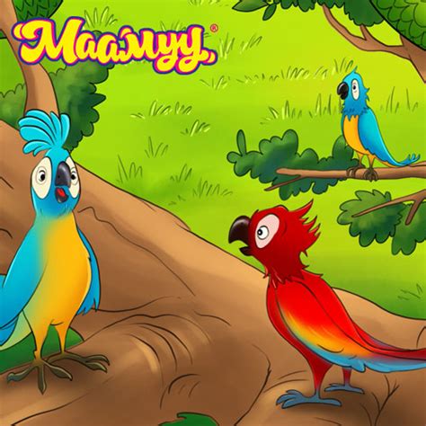 Maamuu · Сайнтай нөхөрлөвөл сарны гэрэл