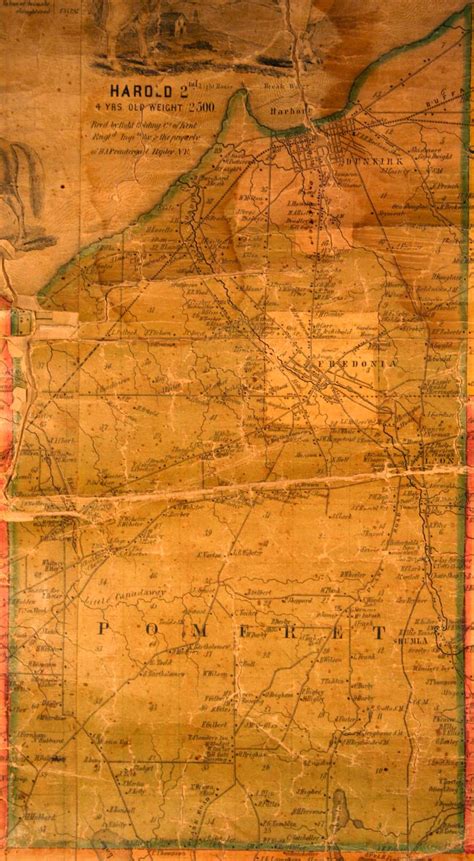 1854 Wall Map of Chautauqua County, NY