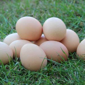 Е - Натуральные деревенские продукты - ВЕЛИСЛАВА.РФ